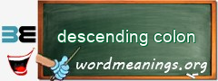 WordMeaning blackboard for descending colon